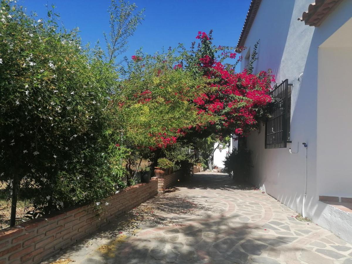 Casa Luis Villa Viñuela Kültér fotó